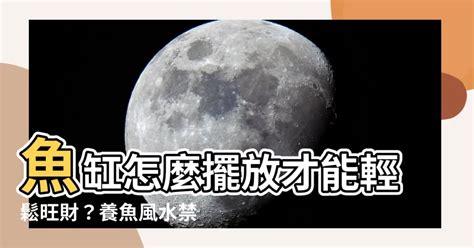 魚缸放財位|風水魚缸怎麼擺？這些要點記下來旺財又旺運